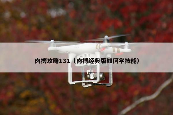肉搏攻略131（肉搏经典版如何学技能）