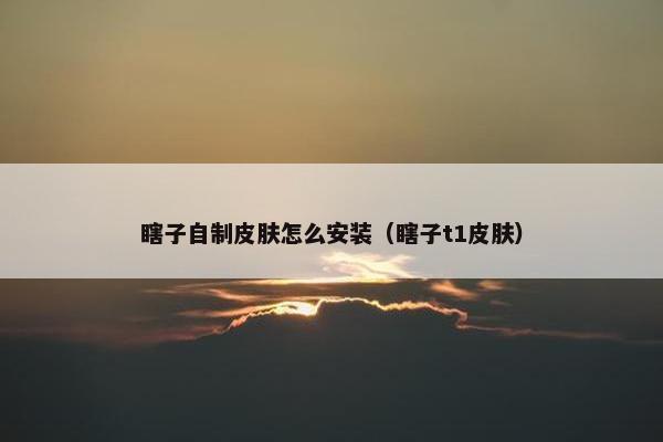 瞎子自制皮肤怎么安装（瞎子t1皮肤）
