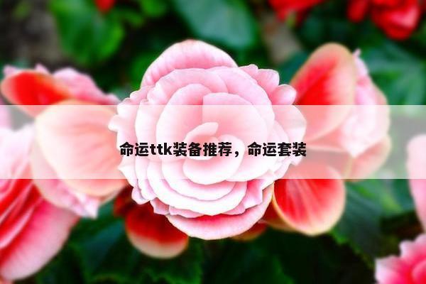 命运ttk装备推荐，命运套装