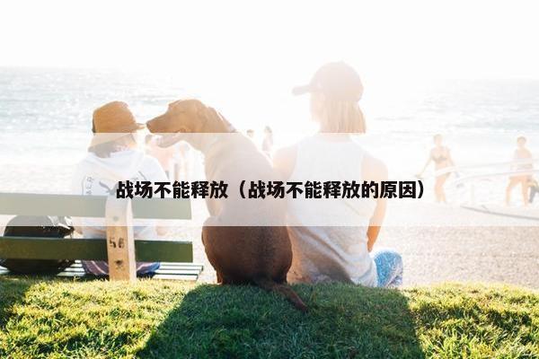 战场不能释放（战场不能释放的原因）