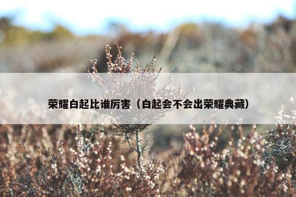 荣耀白起比谁厉害（白起会不会出荣耀典藏）