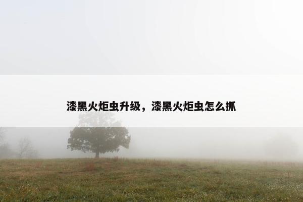 漆黑火炬虫升级，漆黑火炬虫怎么抓